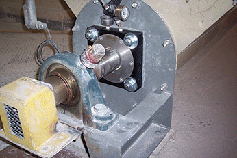 Featured image for “Screw Conveyor Builds”